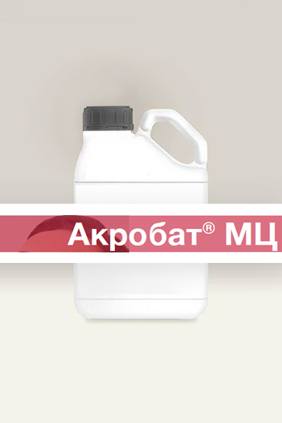 akrobat.jpg