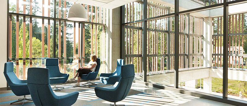 biophilic3.jpg