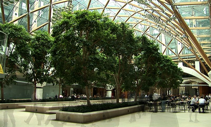 biophilic6.jpg