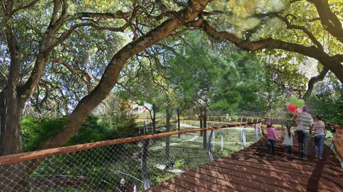 canopy-walk-spring-noon-678x381.jpg
