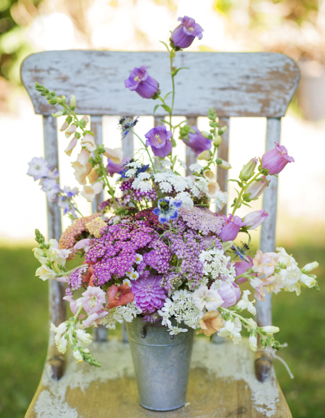spiraea_japonica_02.jpg