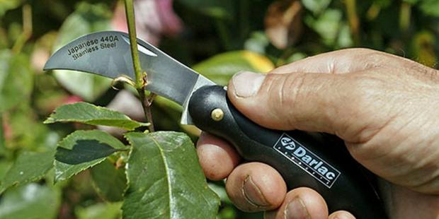 garden_knife_620_310.jpg