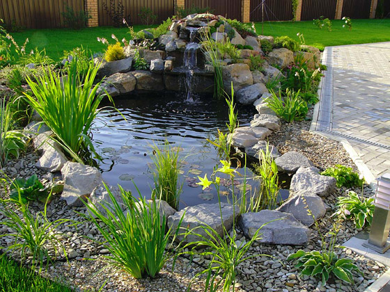 pond-based-plastic-container-01.bmp