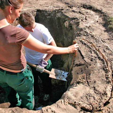 pond-based-plastic-container-11.bmp