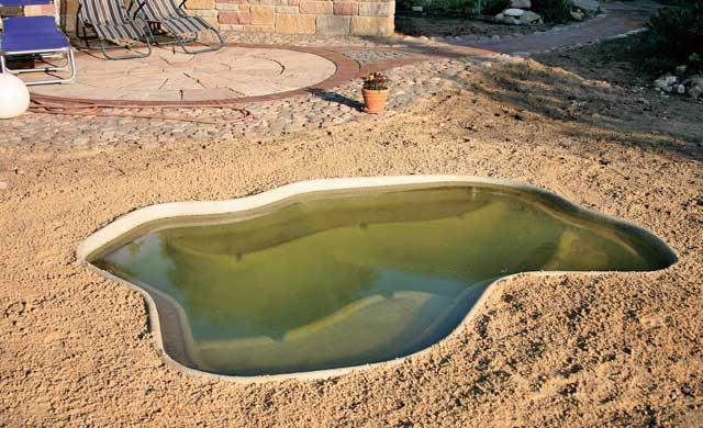 pond-based-plastic-container-19.bmp