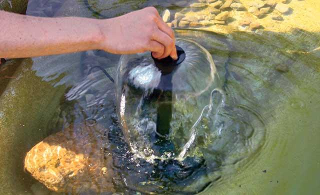 pond-based-plastic-container-20.bmp