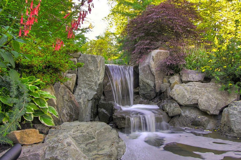 poolside-landscape-design-14.jpg