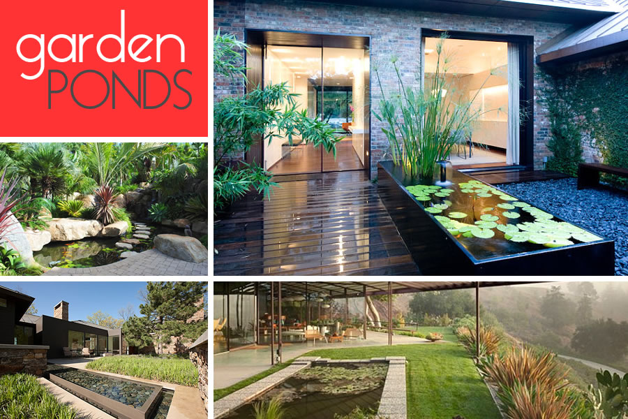 garden-pond-01.jpg