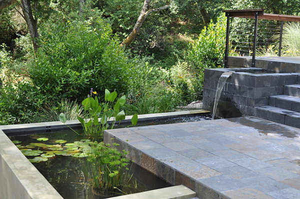 garden-pond-07.jpg