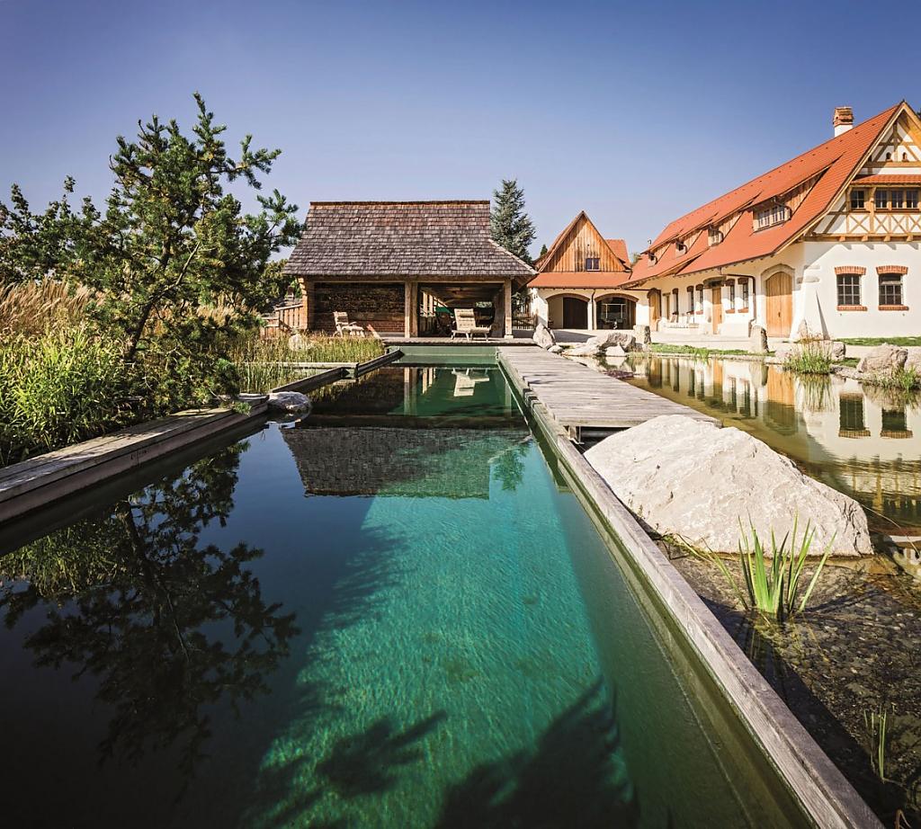 natural-pool-03.jpg