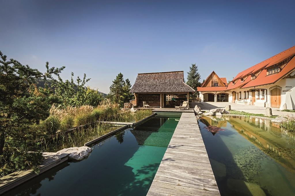 natural-pool-06.jpg