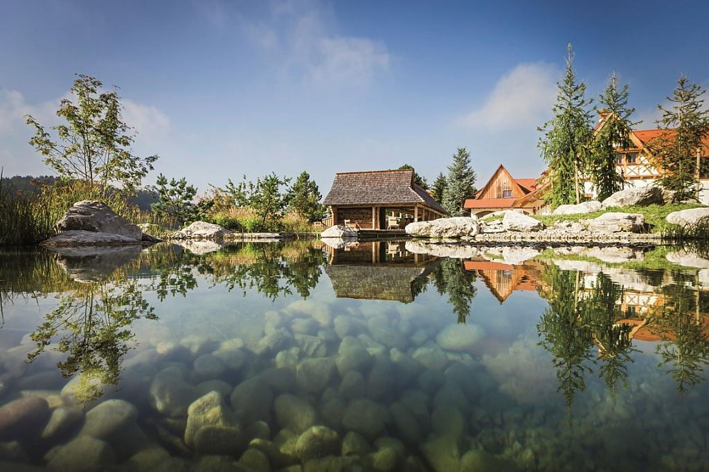 natural-pool-07.jpg