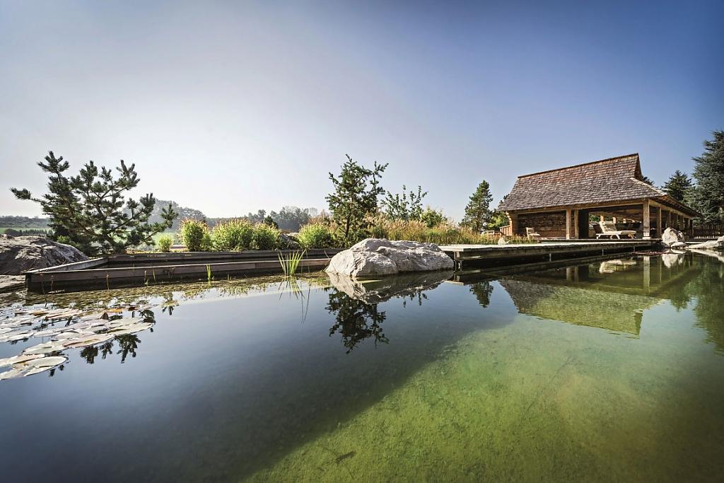 natural-pool-08.jpg