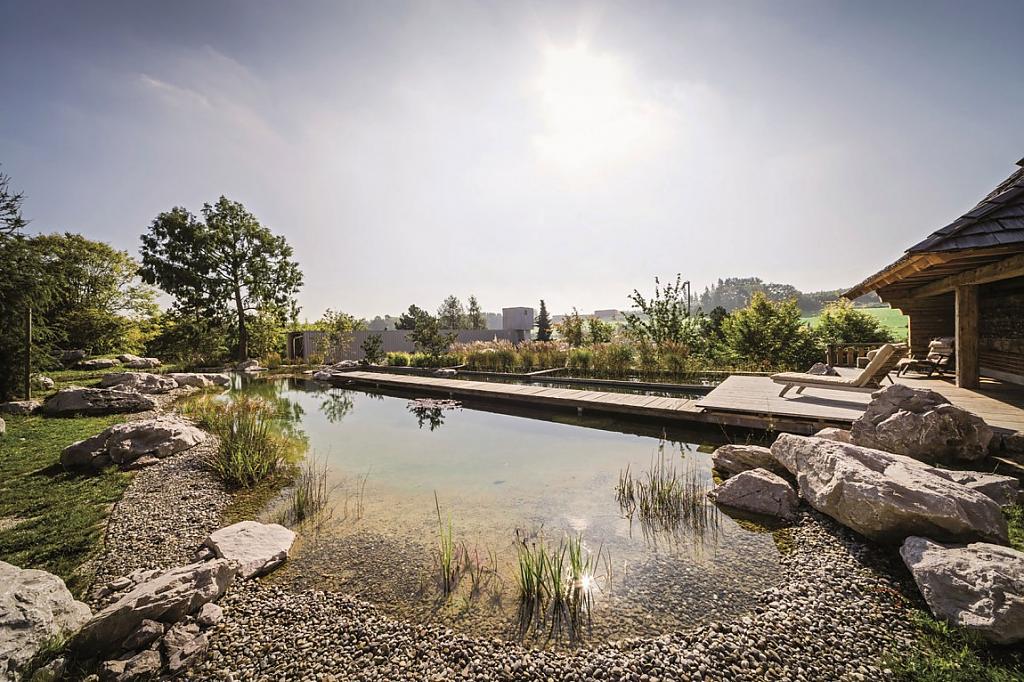 natural-pool-09.jpg