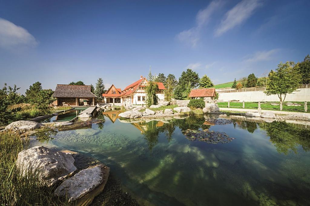 natural-pool-02.jpg