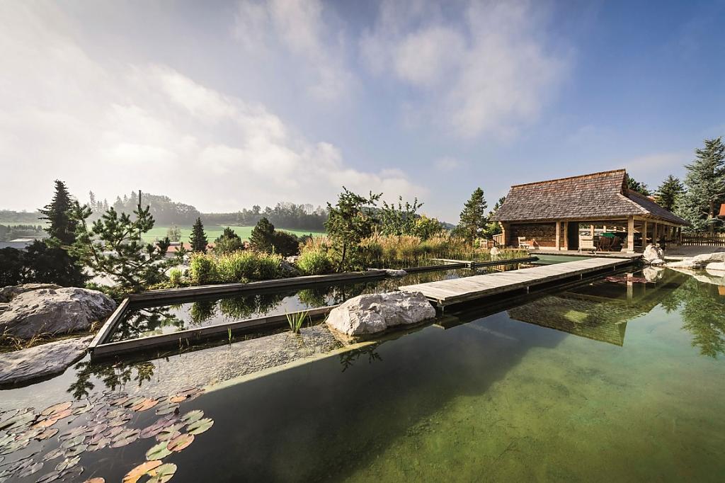 natural-pool-04.jpg