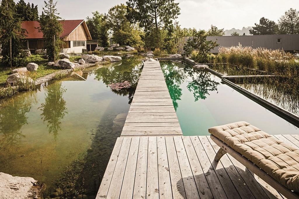 natural-pool-11.jpg