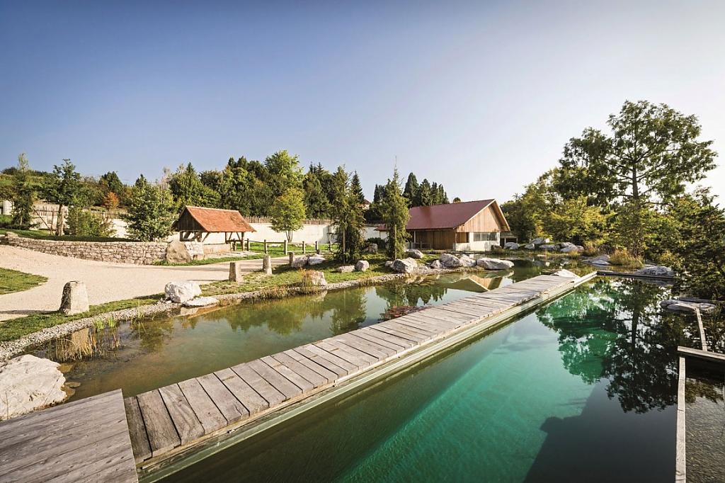 natural-pool-14.jpg
