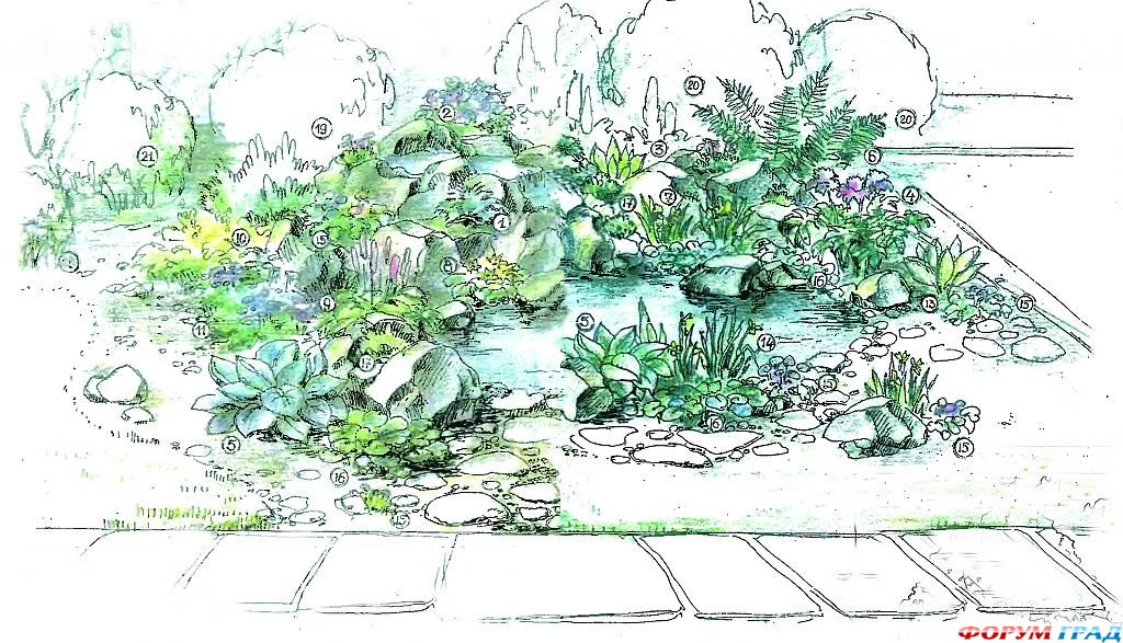 decorating-pond-plants-12.jpg