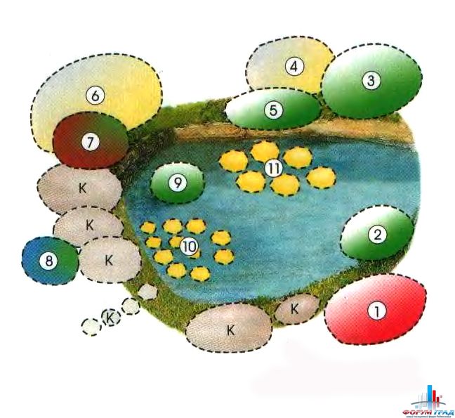 decorating-pond-plants-06.jpg