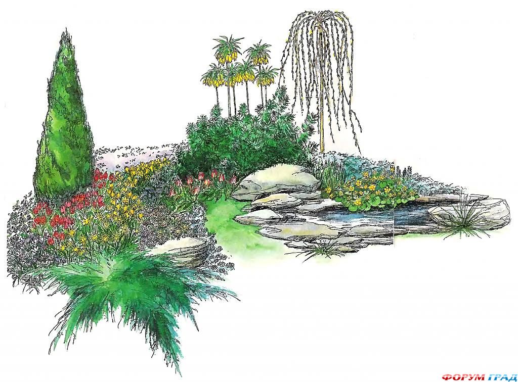 decorating-pond-plants-13.jpg