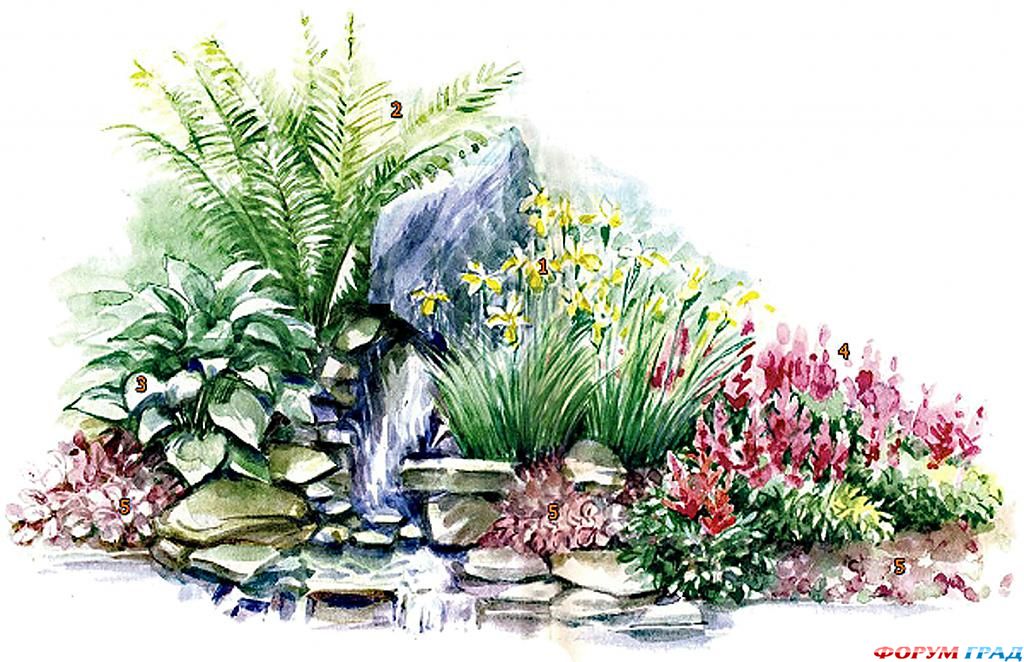 decorating-pond-plants-15.jpg