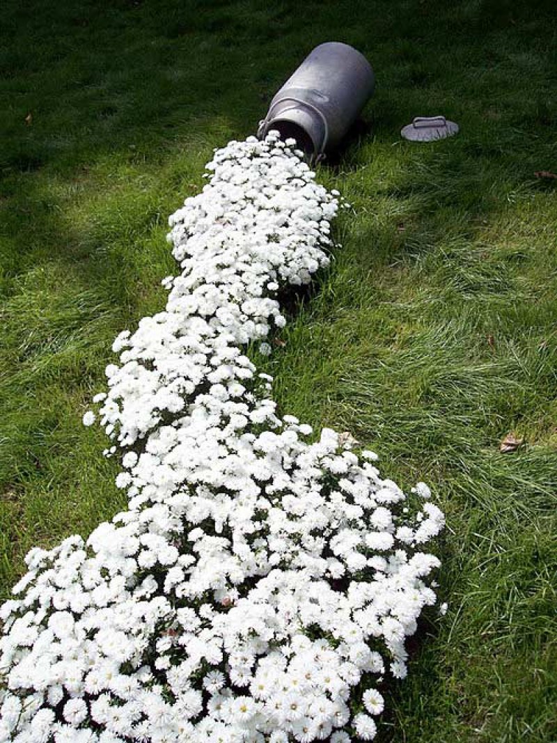 stream-flower-bed-02.jpg