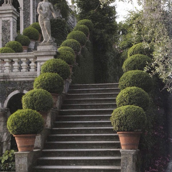 boxwood-gardens-03.jpg