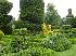 Сад Левенс Холл (Levens Hall Garden)