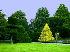 Сад Левенс Холл (Levens Hall Garden)