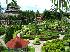Тропический парк Нонг Нуч (Nong Nooch Tropical Botanical Garden)