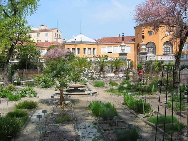 botanicheskii_sad_v_padye_1.jpg
