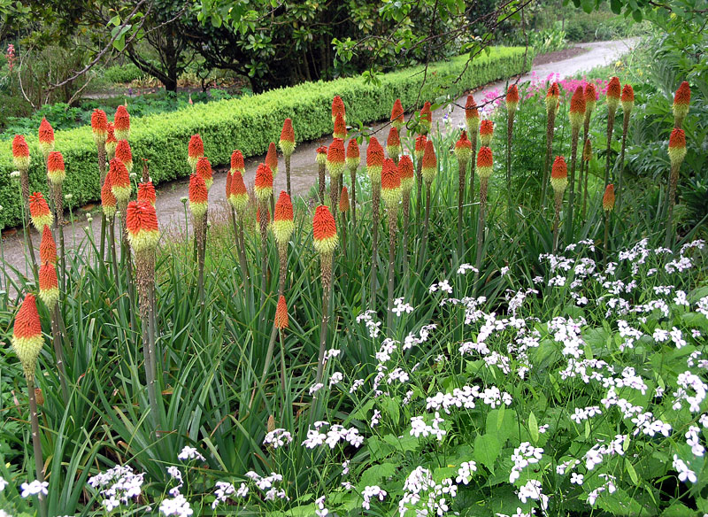 mount_congreve_gardens_7.jpg