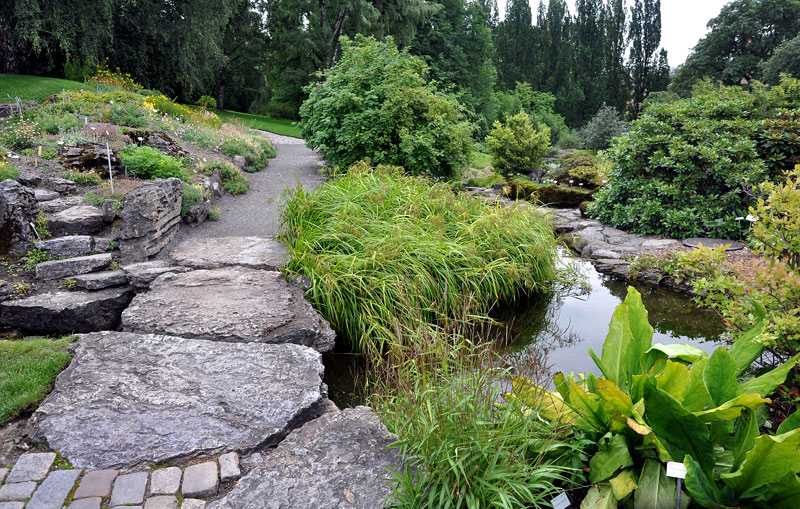botanichnii_sad_m_oslo_1.jpg