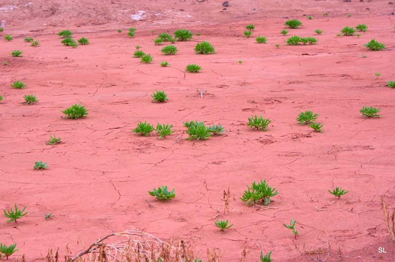 park_valle-de-la-luna_13.jpg