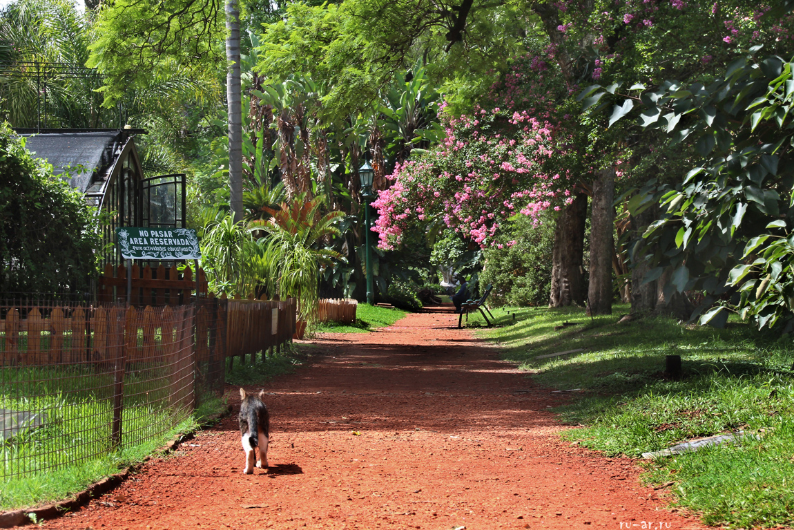jardin_botanico_1.jpg