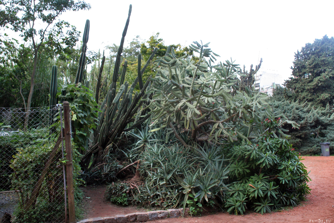 park_jardin_botanico_1.jpg