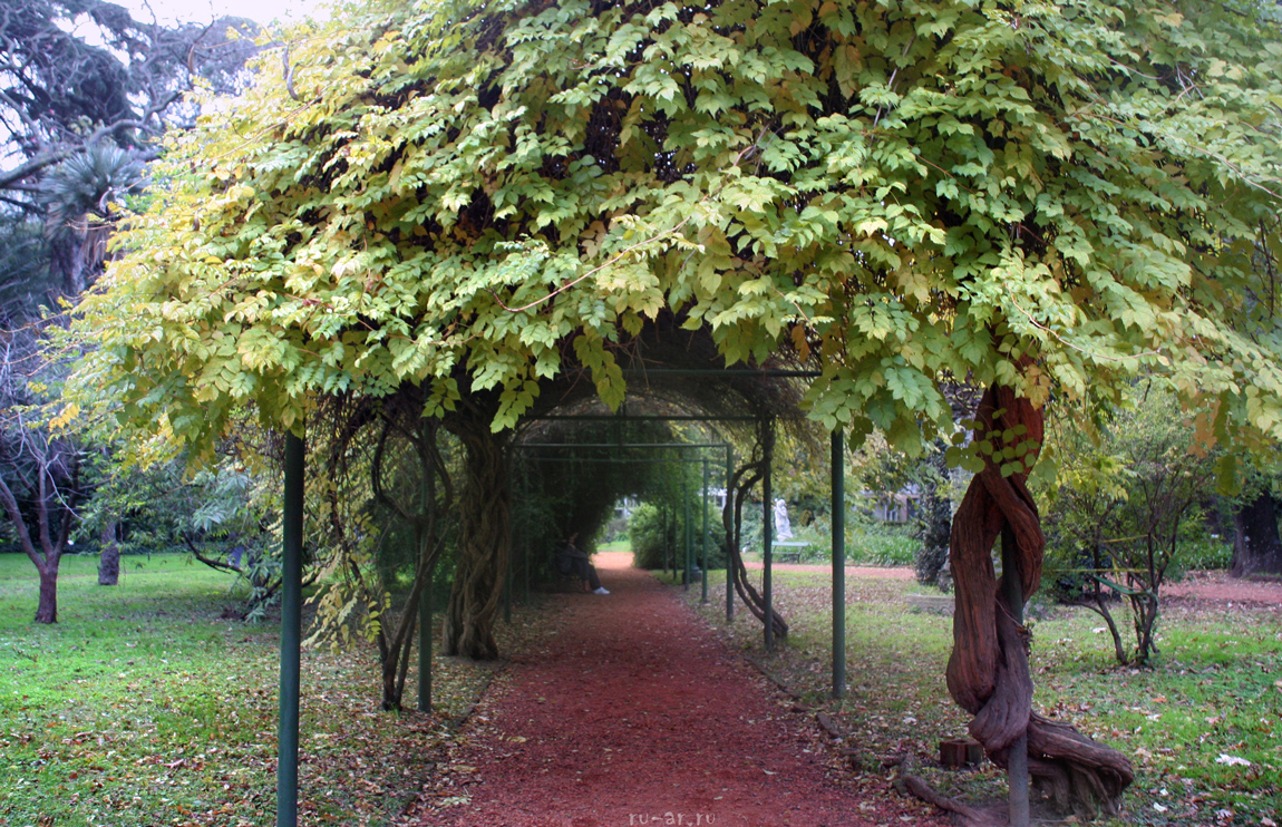 park_jardin_botanico_3.jpg
