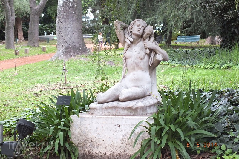 sad_jardin_botanico_2.jpg