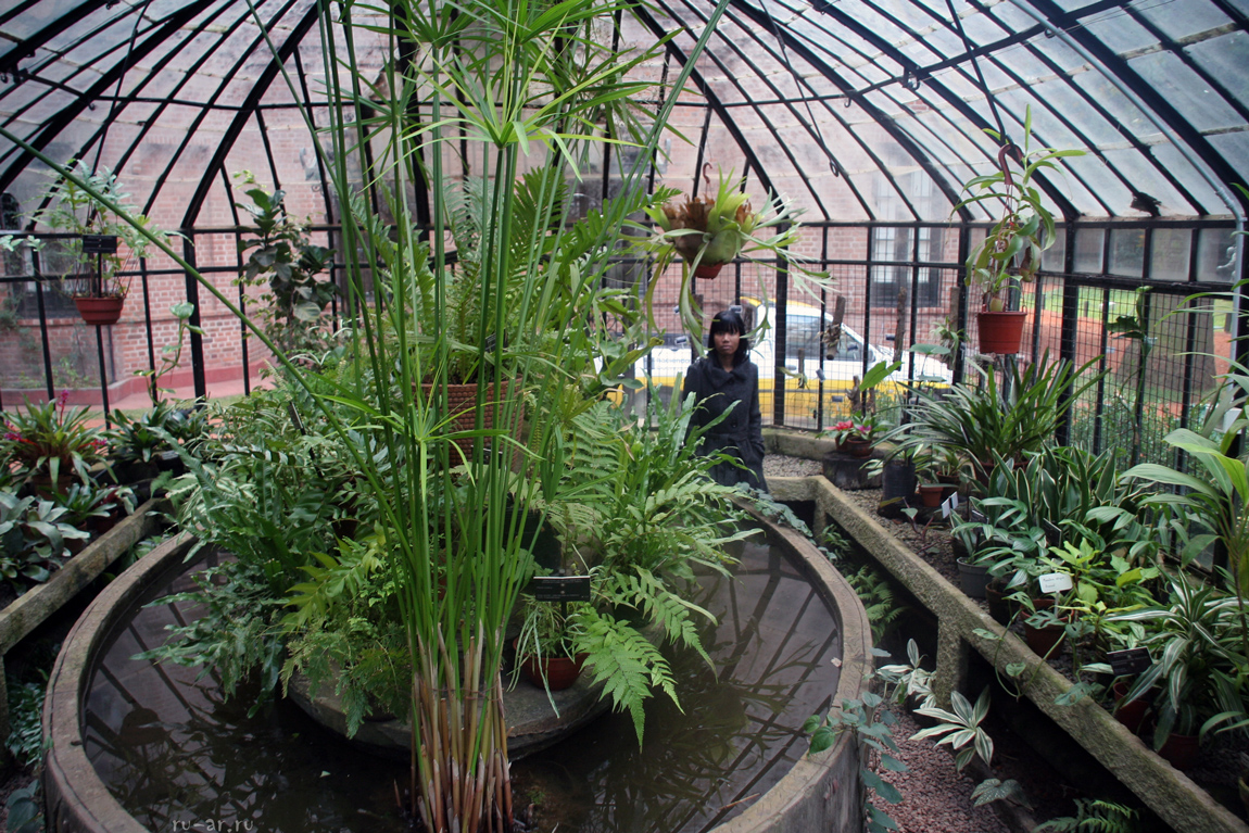 jardin_botanico_14.jpg