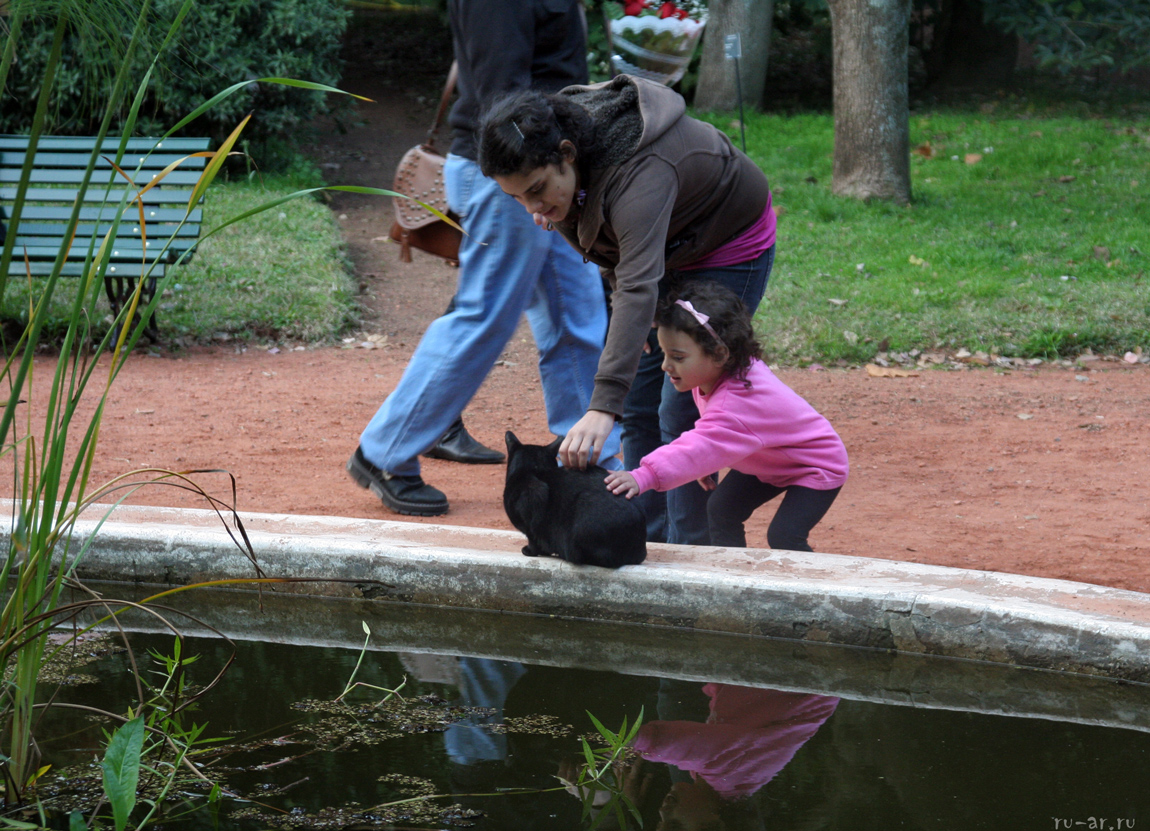 jardin_botanico_17.jpg