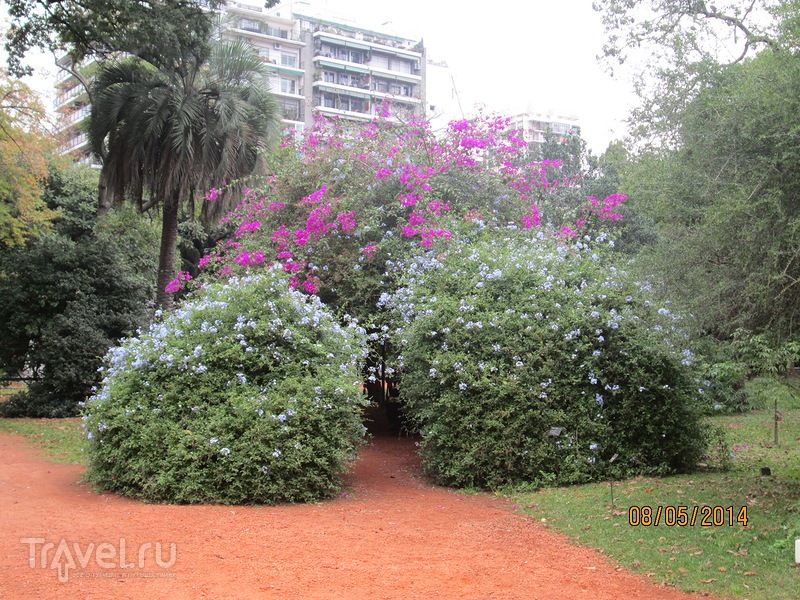 sad_jardin_botanico_3.jpg