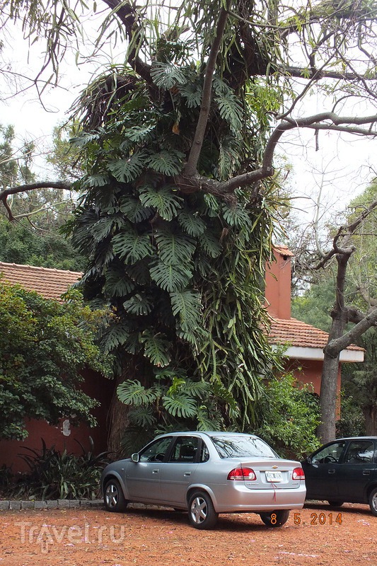 sad_jardin_botanico_5.jpg