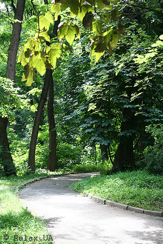 botanichnuj_sad_2.jpg