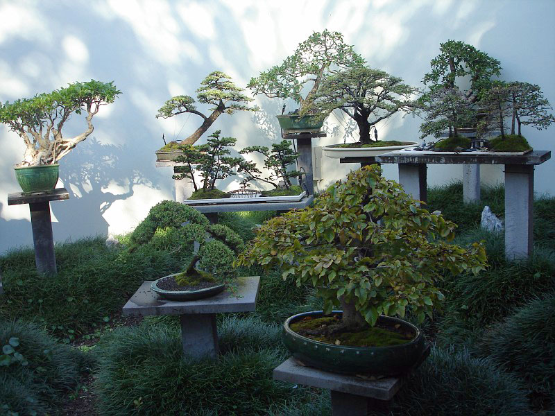 chinese_garden_of_friendship_1.jpg