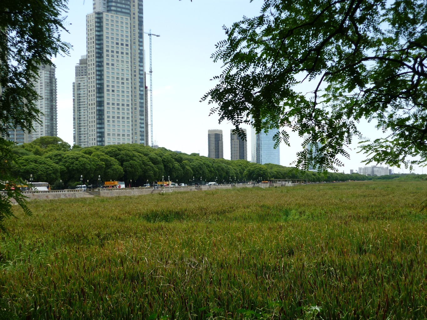 _ecological_reserve-buenos_aires_1.jpg