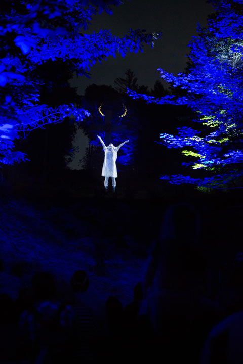 foresta_lumina_4.jpg