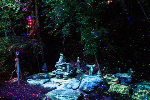 foresta_lumina_5.jpg