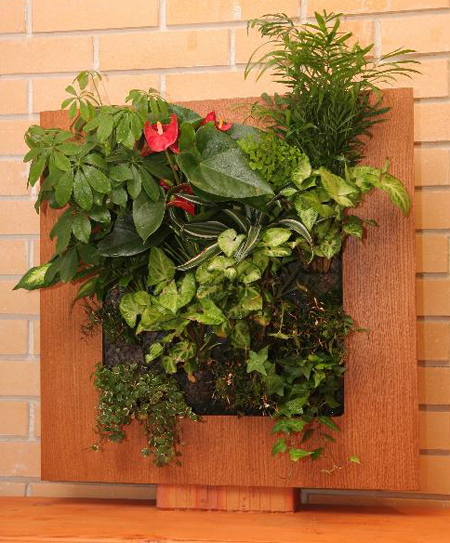 jivie_kartini_ot_wall_of_flowers_1.jpg