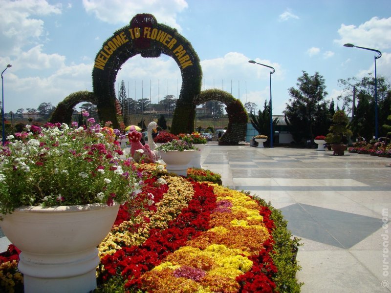 dalat-kvitkovi_sadu_2.jpg